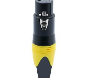 xlr hembra 01